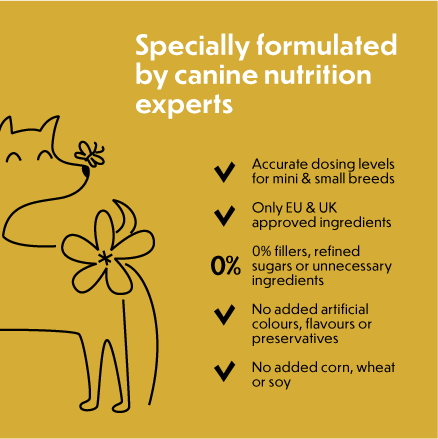 Probiotic for Dogs: Supports a healthy digestion for a happy dog