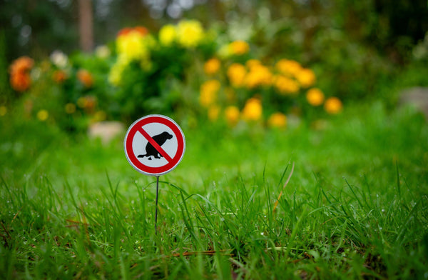 The dog fouling capitals of the UK revealed