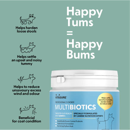 Probiotic for Dogs: Supports a healthy digestion for a happy dog